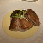 コート ドール - 