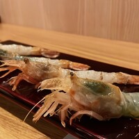 くすの樹 - 