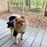 Regina Resort Kyukaruizawa