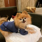 Regina Resort Kyukaruizawa