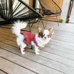 Regina Resort Kyukaruizawa