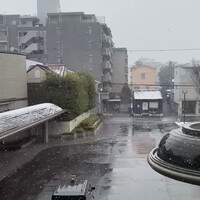 京都ブライトンホテル - 小雪が降ってたなぁホテルの部屋から
                