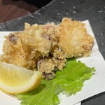Kaisen Sumiyaki Robata Kakureya - 