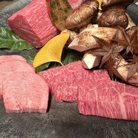 USHIGORO S. GINZA - 
