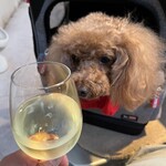 TASTY PLACE THE DINING - ワイン２杯目