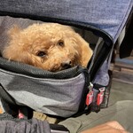 THE NUTS EXCHANGE - この日はリュックです。