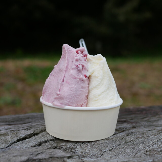 まきばのジャージー - 霊山町その他（ジェラート・アイスクリーム）の写真