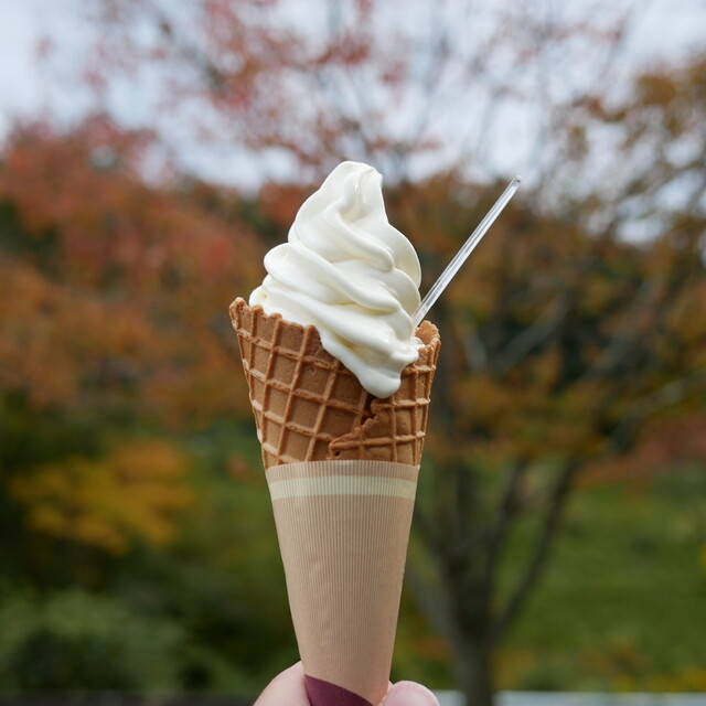 まきばのジャージー - 霊山町その他（ジェラート・アイスクリーム）の写真