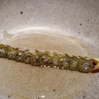カセント - ⑥アンチョビ、薄切りオクラ載せ、金時草添え
                      とても丁寧な細工の美しい一皿
                      個人的には臭いで駄目な事の多いアンチョビですが香りと感じる手当ての良さが印象的
                      旨みもしっかり楽しめました