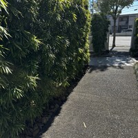 天然うなぎ しま村 - 