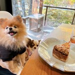 フォレスト ヴェール - 