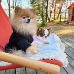 SHOZO COFFEE KARUIZAWA - 