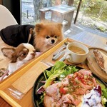 フォレスト ヴェール - 