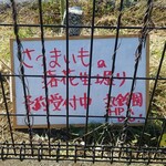 キッチン ブルー グローブ - 帰り道、さつまいも、落花生掘りの案内！？