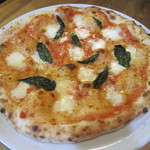 パスタ＆ピザガーデン マジョラム - 料理写真:ピザマルゲリータ