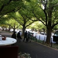 キハチ 青山本店 - 