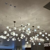 フォレストガーデン - 