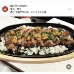 GARLIC POWER - 