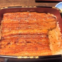 明神下 神田川 本店 - 3,800円のうな重♪つやつや♪