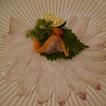 とんがらし - 平目うす造り