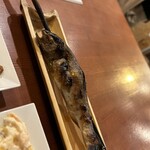 Robata Itarian Shizen Hawain Irufo - 