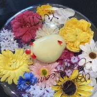 クイントカント - 