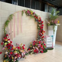 リュクス ダイニング ハプナ - 