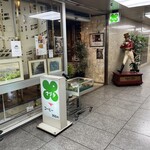 マヅラ喫茶店 - 