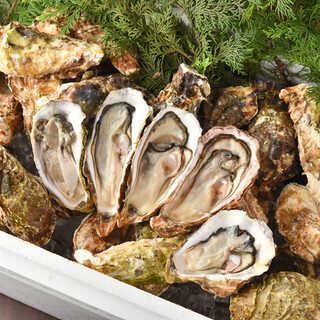 natural raw Oyster