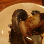 さしみの魚紳 - さざえ　上手に出せましたょ(^_^;)