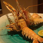 さしみの魚紳 - あかざ海老　塩焼き(\750)