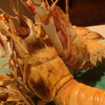 さしみの魚紳 - あかざ海老　アップ