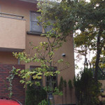 切麦屋 あいだ - 