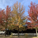 Okuizumo Budouen Niwa Cafe