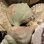 Yamano Saru - 3種貝のガンガン焼き