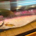 Fukuzushi - 鰣(ヒラ)【鰣、魚編に時】(兵庫県播磨灘産)
                        釣り師は瀬戸内ターポンとも言う
                        鰊に似ている通りニシン科ヒラ属、産卵は初夏~夏、旬は秋~冬