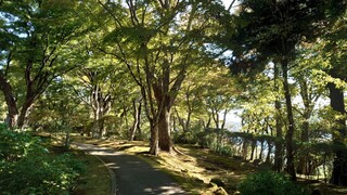 Tsutsujino Chaya - 庭園