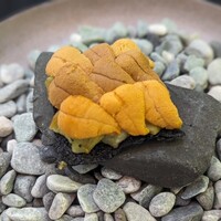 日本料理 TOBIUME - 