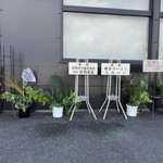 Kumaneko Hanten - 開店祝いの花（2023年10月16日撮影）