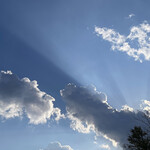 レイドバックバーガー - 