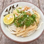 Kishii Udon - 醤油を回しかけて♪大根おろしは自分ですりおろして入れるタイプ( ºωº )✨