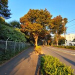 ガリレオ 八兵衛 - 緑もいっぱいある