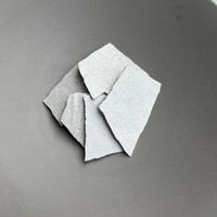 Opuses - 観察用