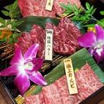 Koube Bifuyakiniku O Katora - 