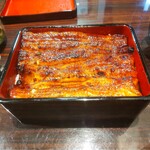 うなぎ 魚政 - うな重、ブランドうなぎ 特上