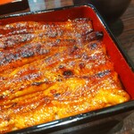 うなぎ 魚政 - うな重、ブランドうなぎ 特上