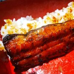 うなぎ 魚政 - うな重、ブランドうなぎ 特上