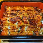 鰻 むさし乃 - 新仔鰻重  アップ