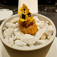 CIRPAS - 
