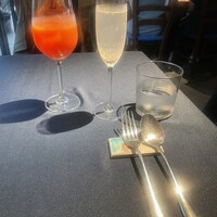 セルサルサーレ - 